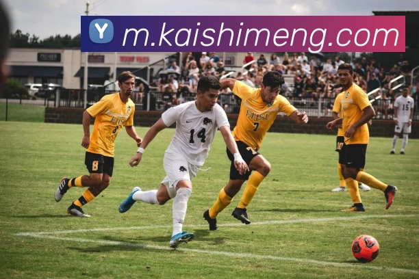 尊龙凯时服务体系